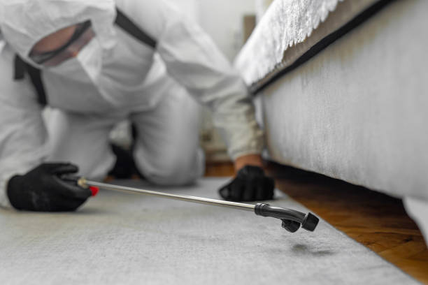 Professional Termite Control technician working in St. Cloud, FL