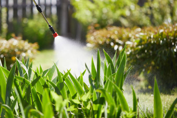 24/7 Emergency Termite Control experts in St. Cloud, FL