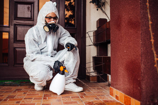 Reliable Termite Control contractor in St. Cloud, FL by Nex Pest Control